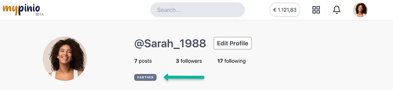 Affiliate Partner Status to generate passive Income